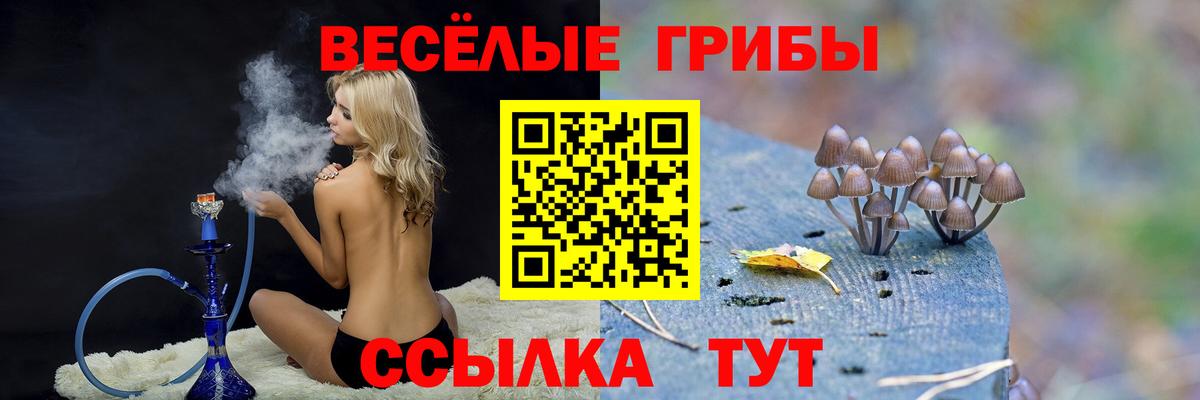 купить наркотики сайты  Галлюциногенные грибы GOLDEN TEACHER  Новоалтайск  Вход с VPN  Галлюциногенные грибы ЛСД 